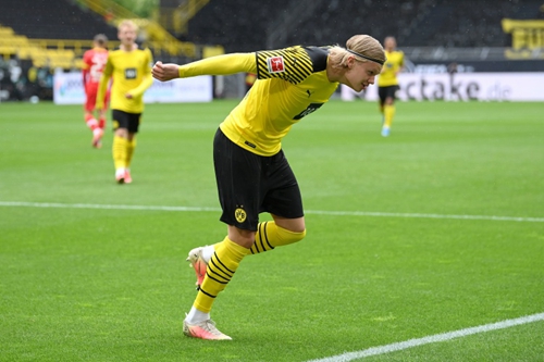 因为它将为 因为它将为