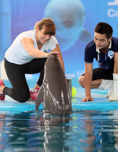 杯的三连霸 杯的三连霸